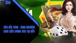 Xóc Đĩa TV88 - Kinh Nghiệm Chơi Siêu Chính Xác Tại Đây